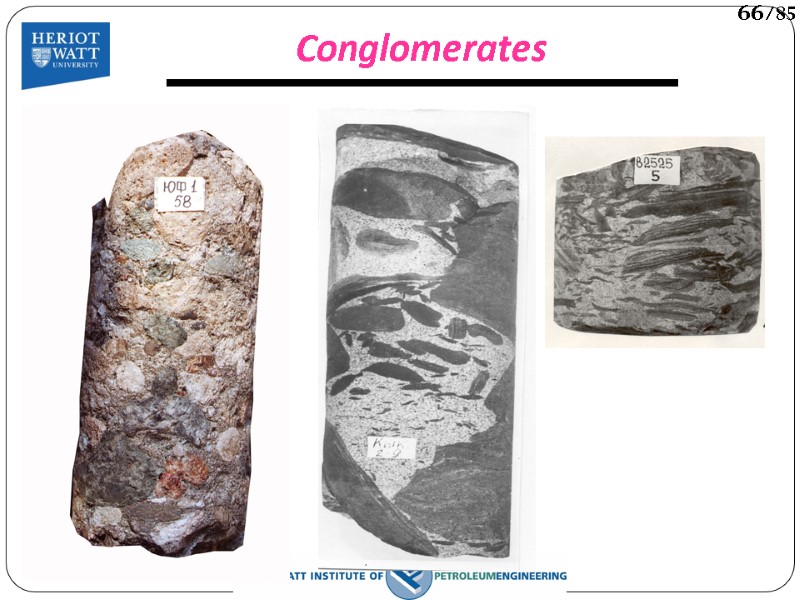 Conglomerates 66/85